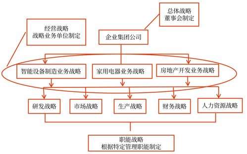 战略与企业战略管理的内涵 2025年 高级会计实务 预习知识点