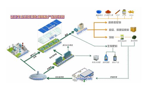 江苏藻链生态科技公司引领微藻产业革命,资本市场投资价值凸显